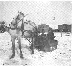 photo of sleighing
