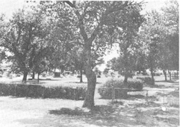 photo of north end of Wymore Cemetery