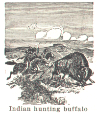 Indian hunting buffalo