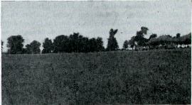 SITE OF NEBRASKA UNIVERSITY AT FONTENELLE, 1905