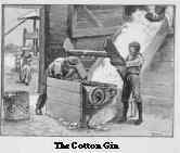 The Cotton Gin