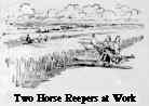 Two Horse Reepers