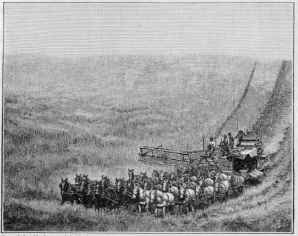 A THIRTY-THREE HORSE HARVESTER