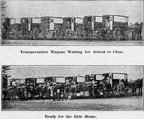 Tarnsportation Wagons