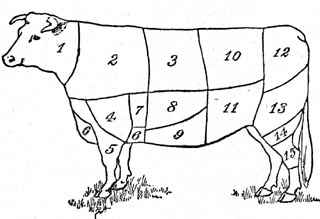 Beef Sections