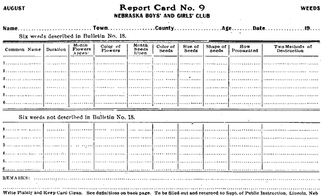 Report Card No. 9