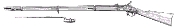 Springfield Rifle