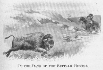 In the Days of the buffalo Hunter