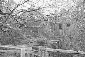 Image, Source: b&w film copy interpositive