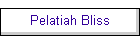 Pelatiah Bliss