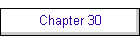 Chapter 30