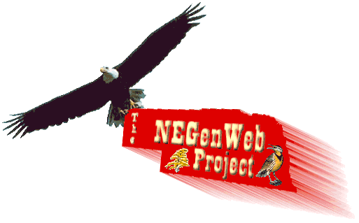 NeGenWeb