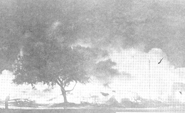 photo of Marshall Produce Fire