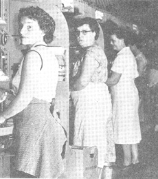 photo of egg candling