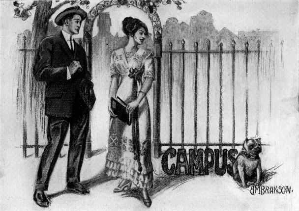 Picture/label or sketch