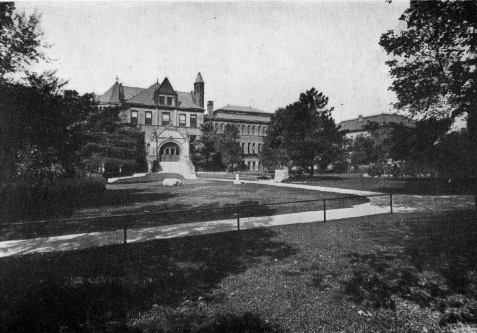 Picture/label or sketch