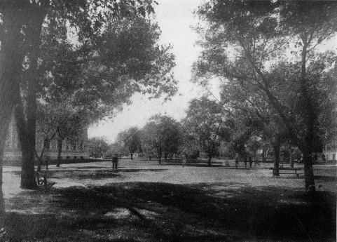 Picture/label or sketch