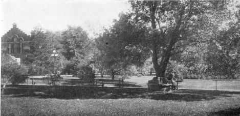 Picture/label or sketch