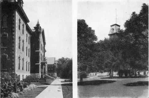 Picture/label or sketch