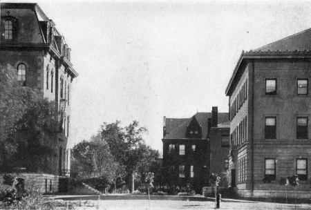 Picture/label or sketch