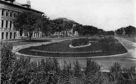 Picture/label or sketch