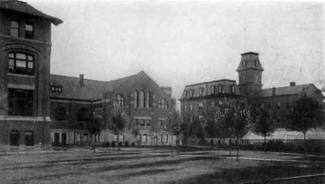 Picture/label or sketch