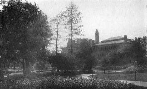 Picture/label or sketch