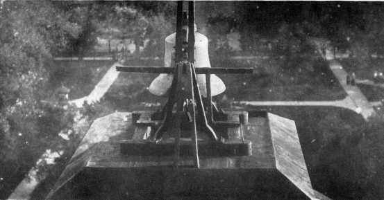 Picture/label or sketch