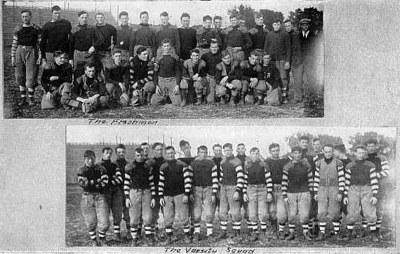 Picture/label or sketch