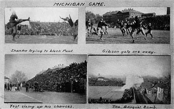 Picture/label or sketch