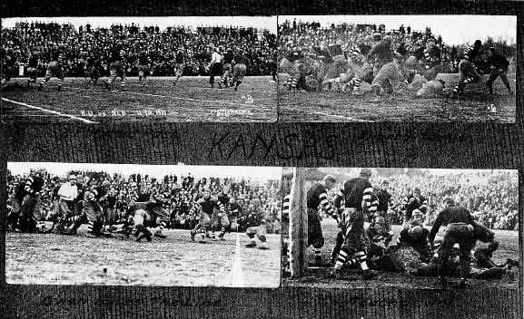 Picture/label or sketch