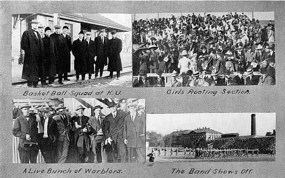 Picture/label or sketch