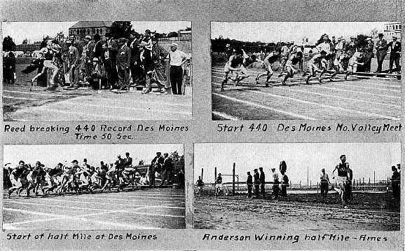 Picture/label or sketch