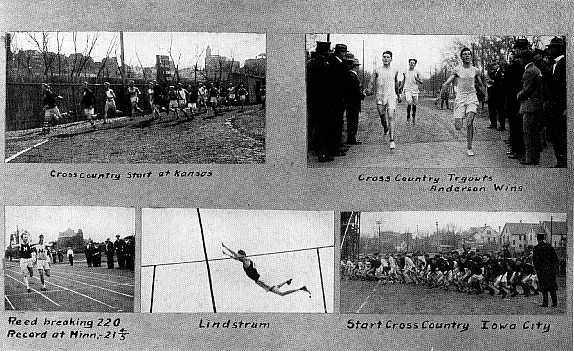 Picture/label or sketch