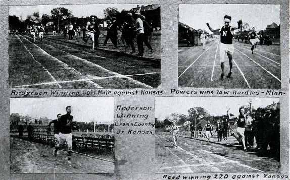 Picture/label or sketch