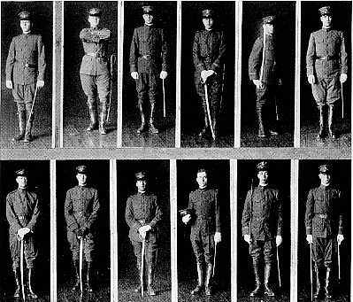 Picture/label or sketch