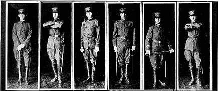 Picture/label or sketch