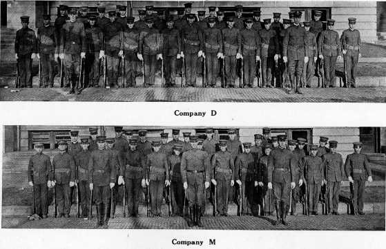 Picture/label or sketch