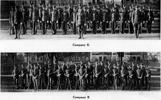 Picture/label or sketch