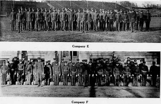 Picture/label or sketch