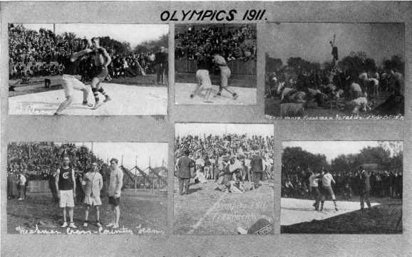 Picture/label or sketch