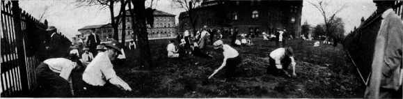 Picture/label or sketch