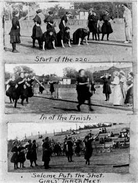 Picture/label or sketch