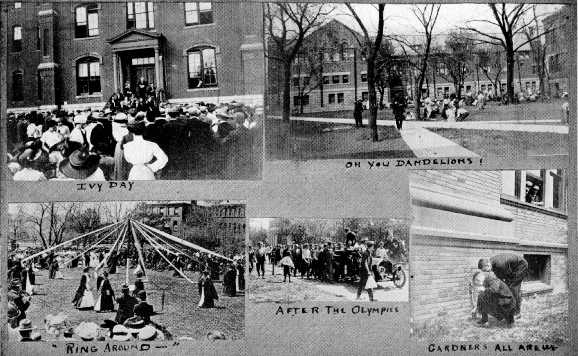 Picture/label or sketch