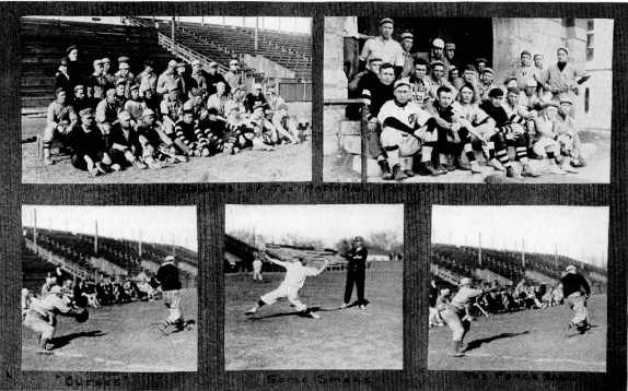 Picture/label or sketch