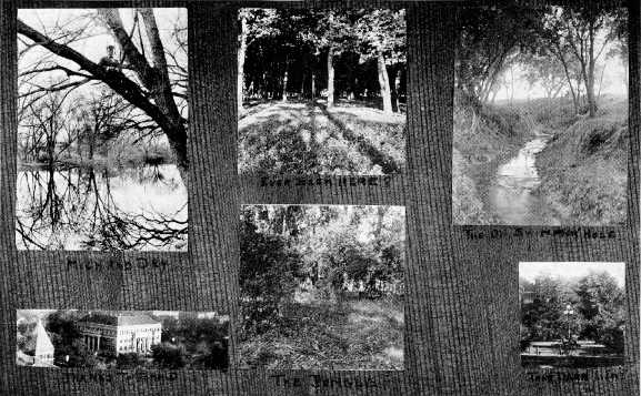 Picture/label or sketch