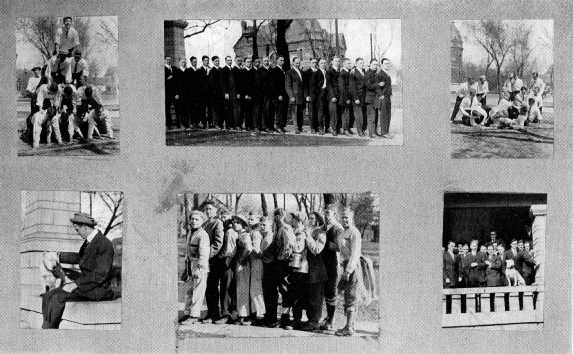 Picture/label or sketch