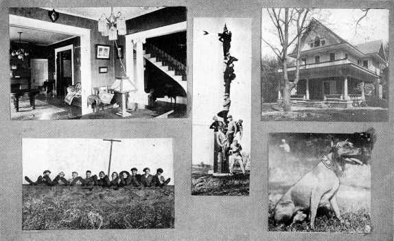 Picture/label or sketch