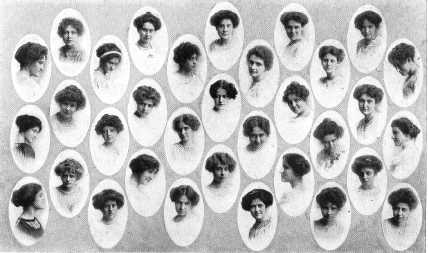 Picture/label or sketch