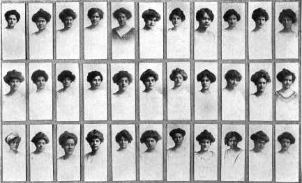 Picture/label or sketch